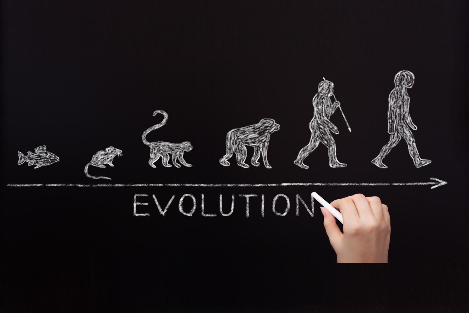 A call for evolution - New World Together